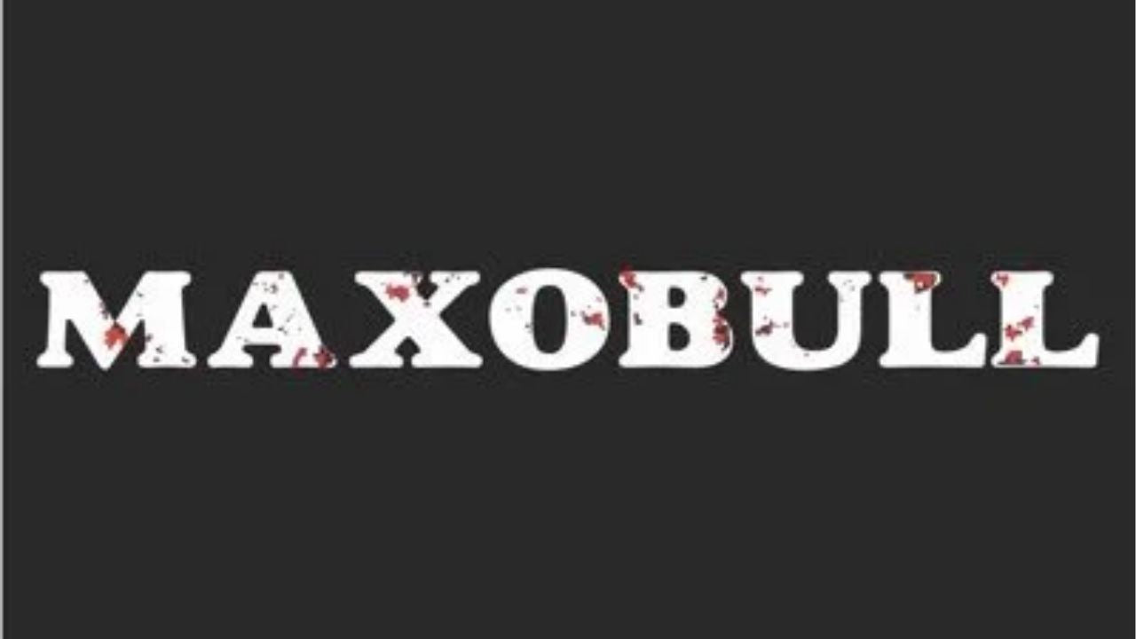 Maxobull: Future of innovatively designed products