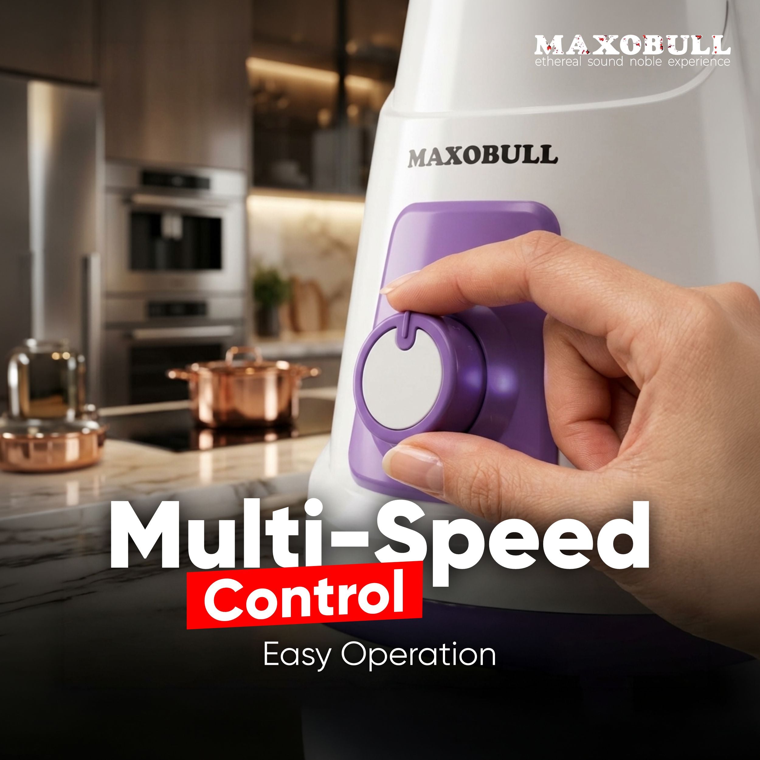 Maxobull 550W Mixer Grinder