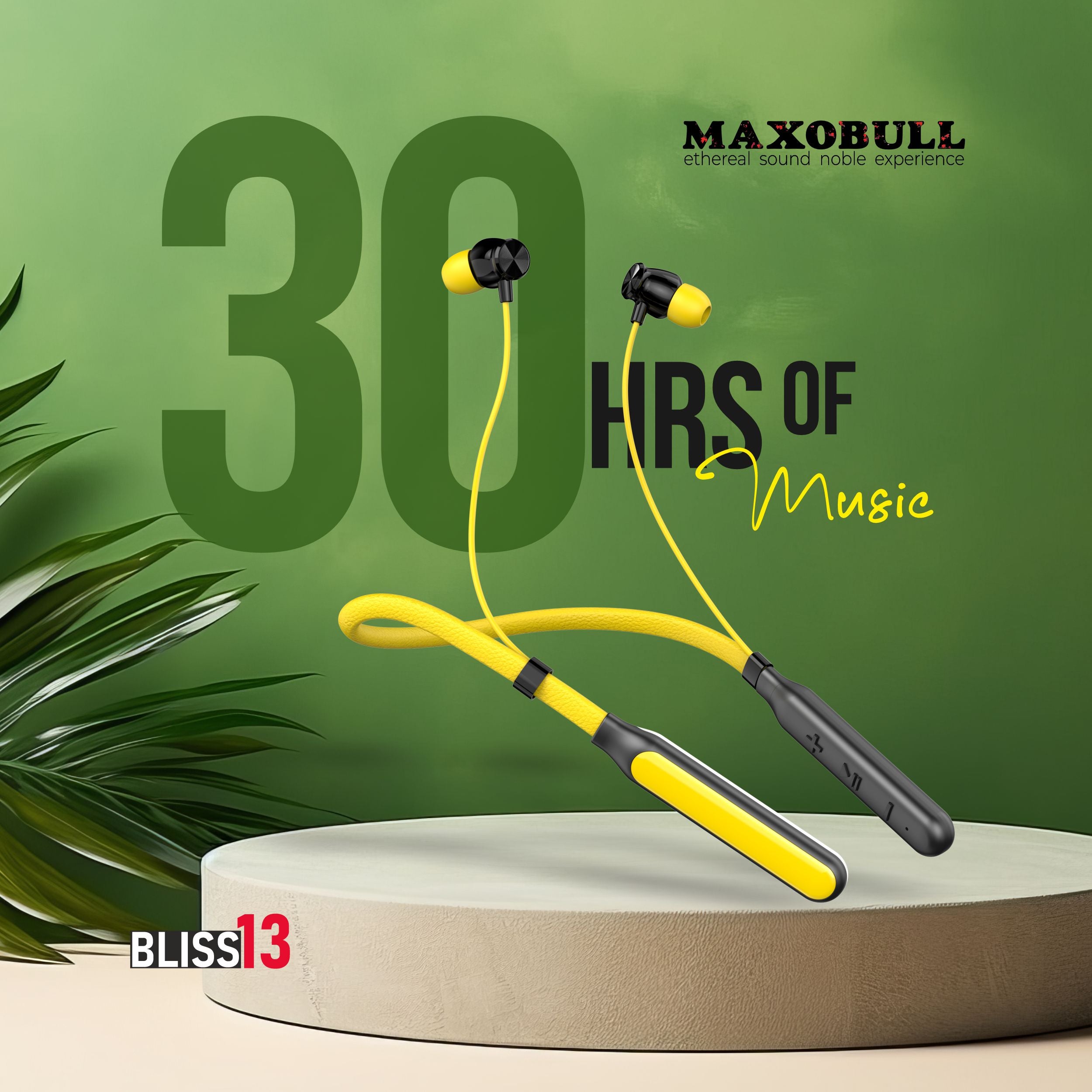 Maxobull Bliss-13