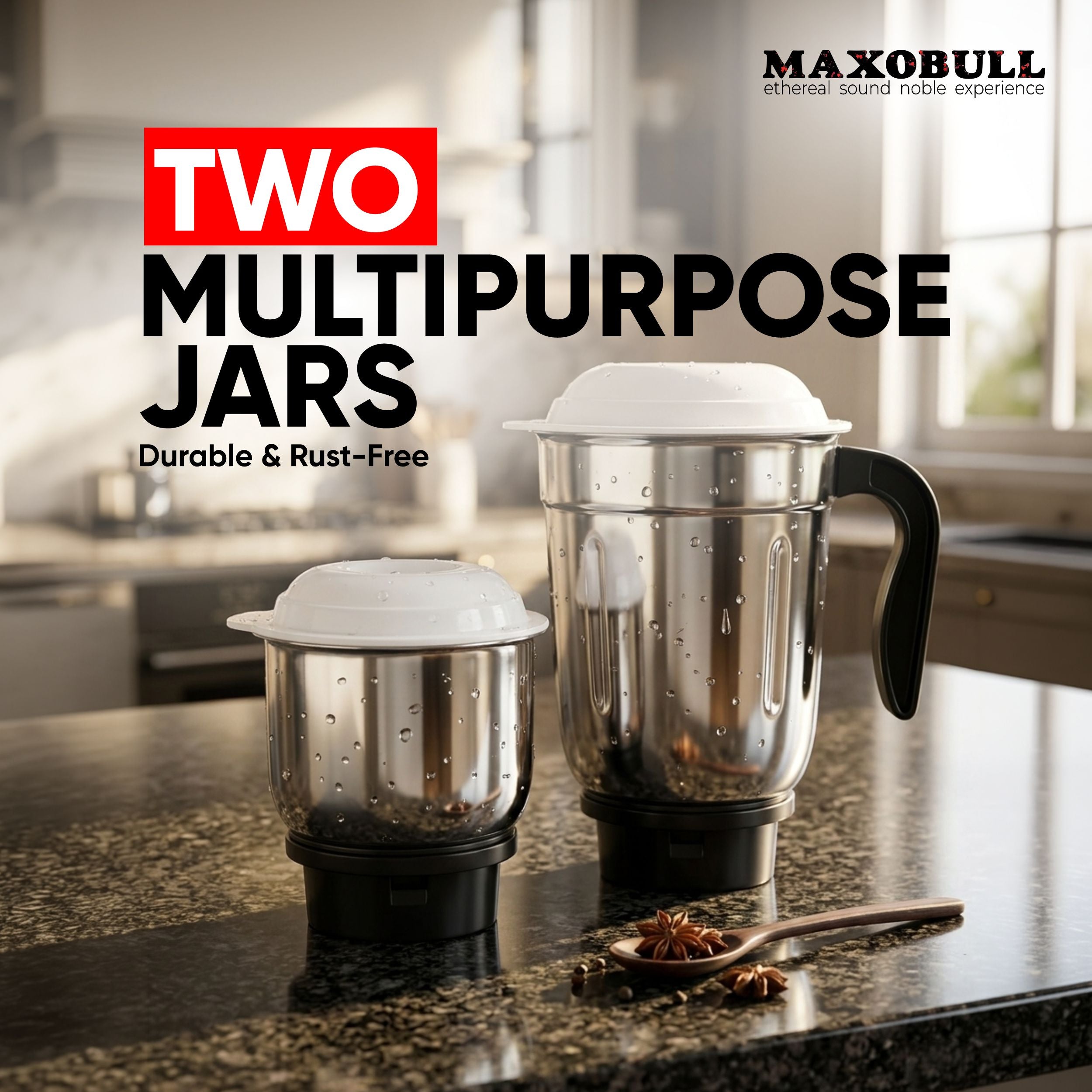 Maxobull 550W Mixer Grinder